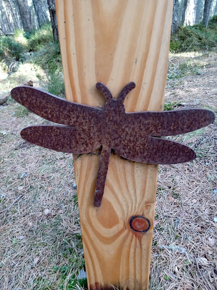 Monadh Mor near Tore and Abernethy NNR - both fantastic sites for rare dragonflies including White-faced Darters. There were no dragons at the weekend but we did see Crested tits!