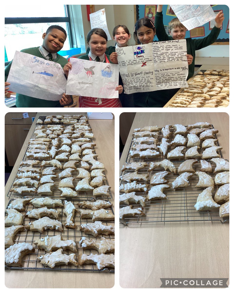 New Delaval Primary tweet media