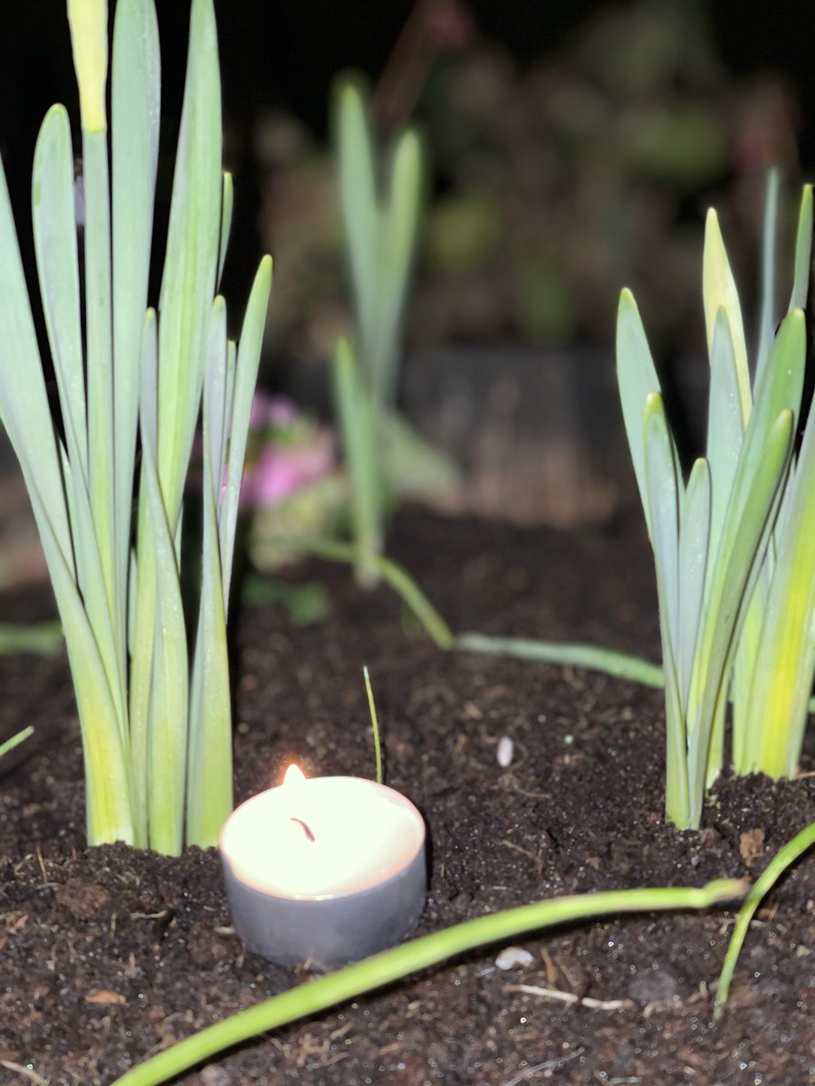Lighting tonight’s #candleforcare at the start of meteorological spring in the hope that we can all work to address the needs of those who are #deaf or live with #hearing impairments and who access #socialcare. #WorldHearingDay2025 #careaboutcare.