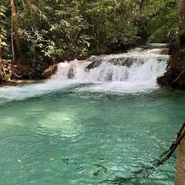 artindetails's tweet image. — serenity in stillness.