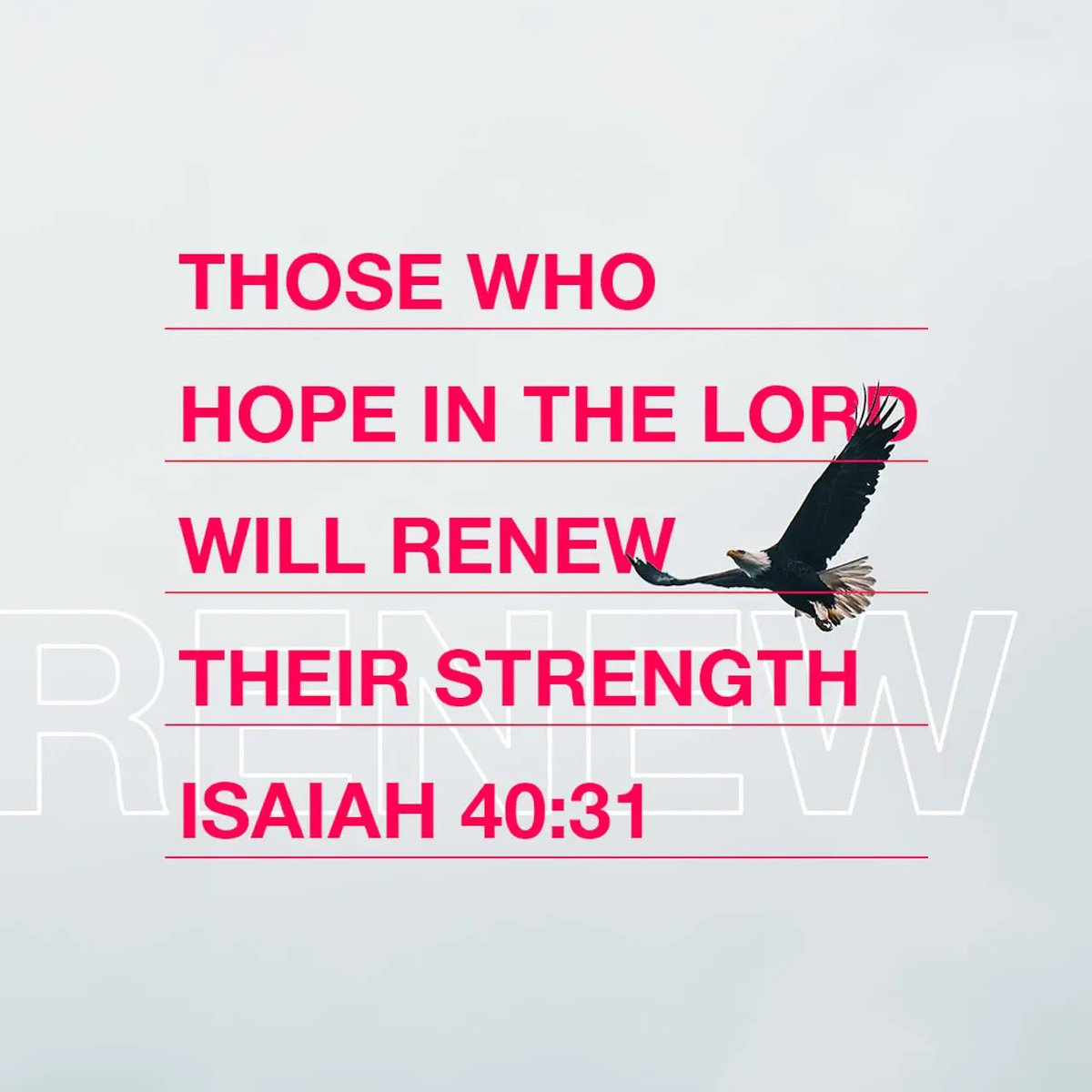 ForwardMyrtle's tweet image. “…but those who hope in the LORD will renew their strength. They will soar on wings like eagles; they will run and not grow weary, they will walk and not be faint.” Isaiah 40:31 🦅