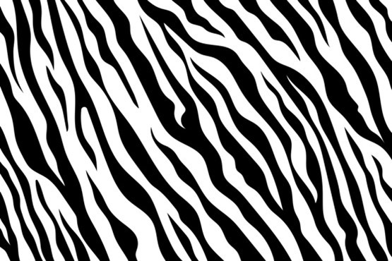 klroose's tweet photo. Julie Kim on LinkedIn: What If...when we hear hoofbeats, we think of zebras? #TeamTakeda https://t.co/IKorRxfmgt https://t.co/hAixNNCzGZ
