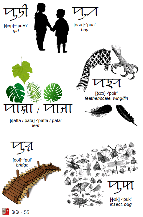 SylhetiProject's tweet photo. Download free copy at
https://t.co/Jzpkqb7nLh
Full of vocabulary with images and more!
See https://t.co/DuQ4pH7nD6
#siloti #syolti #sylhoti #Sylheti #ꠍꠤꠟꠐꠤ #ছিলটি #silotinagri #sylotinagri #sylhotinagri #SylhetiNagri #ꠍꠤꠟꠐꠤꠘꠣꠉꠞꠤ #ছিলটিনাগরি https://t.co/Si4ouvnedW