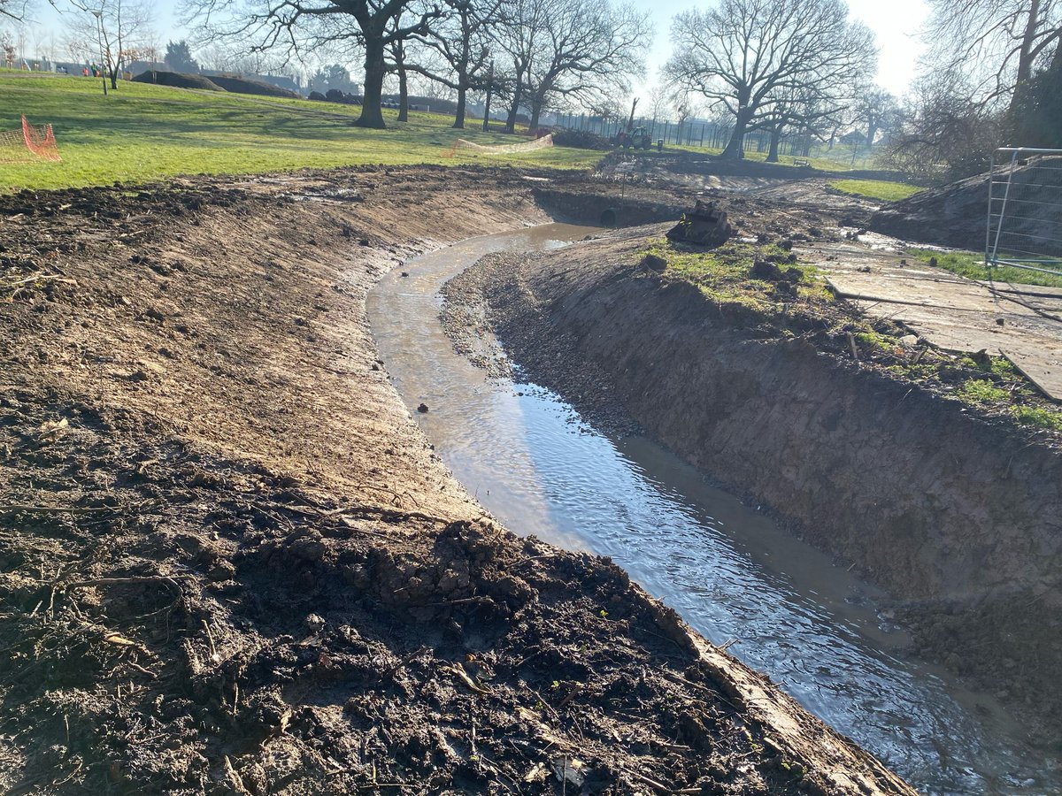 We have realigned the Burnt Oak Brook in Watling Park, taking it out of its concrete channel and adding in meanders.

The work will reduce the risk of flooding, improve ecology, and provide a valuable habitat for wildlife.

➡️ thames21.org.uk/action-for-sil…
