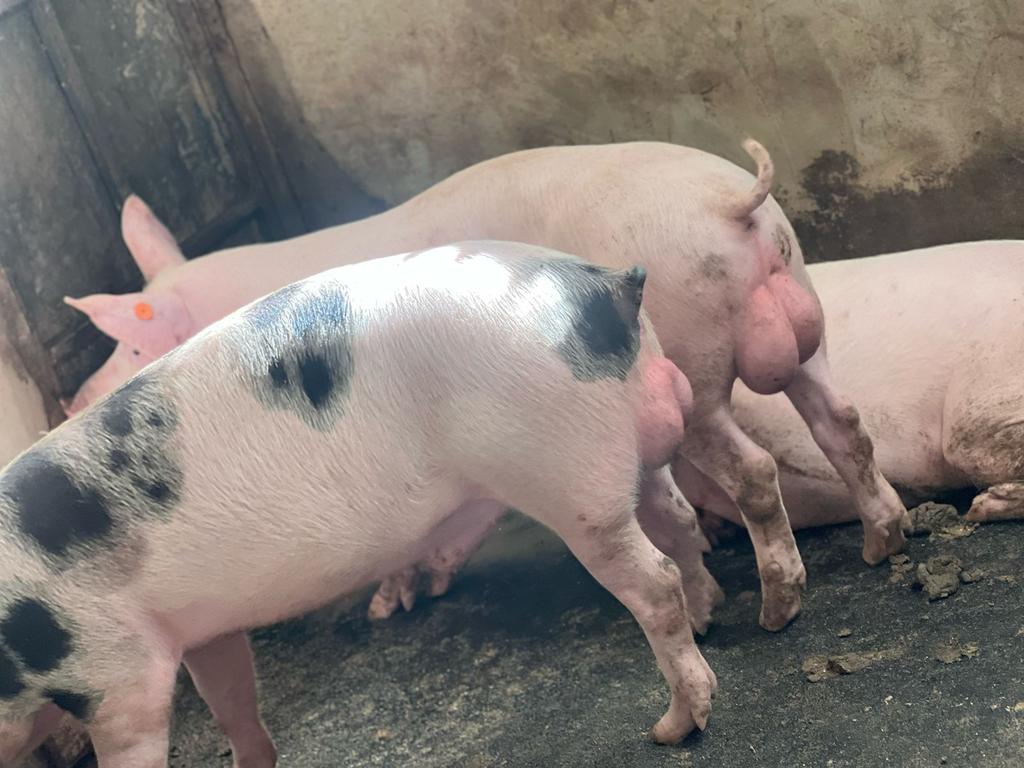 In Uganda farming is the only way to go now. <a href="/JoviaOyungi/">Jovia20</a> <a href="/KNkumiro/">Kenneth Nkumiro</a> <a href="/Rdpuganda24/">Recreation for Development and Peace,RDP Uganda</a> <a href="/GovUganda/">Government of Uganda</a>