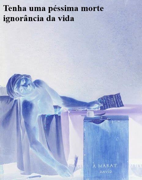 PauldoPará tweet media