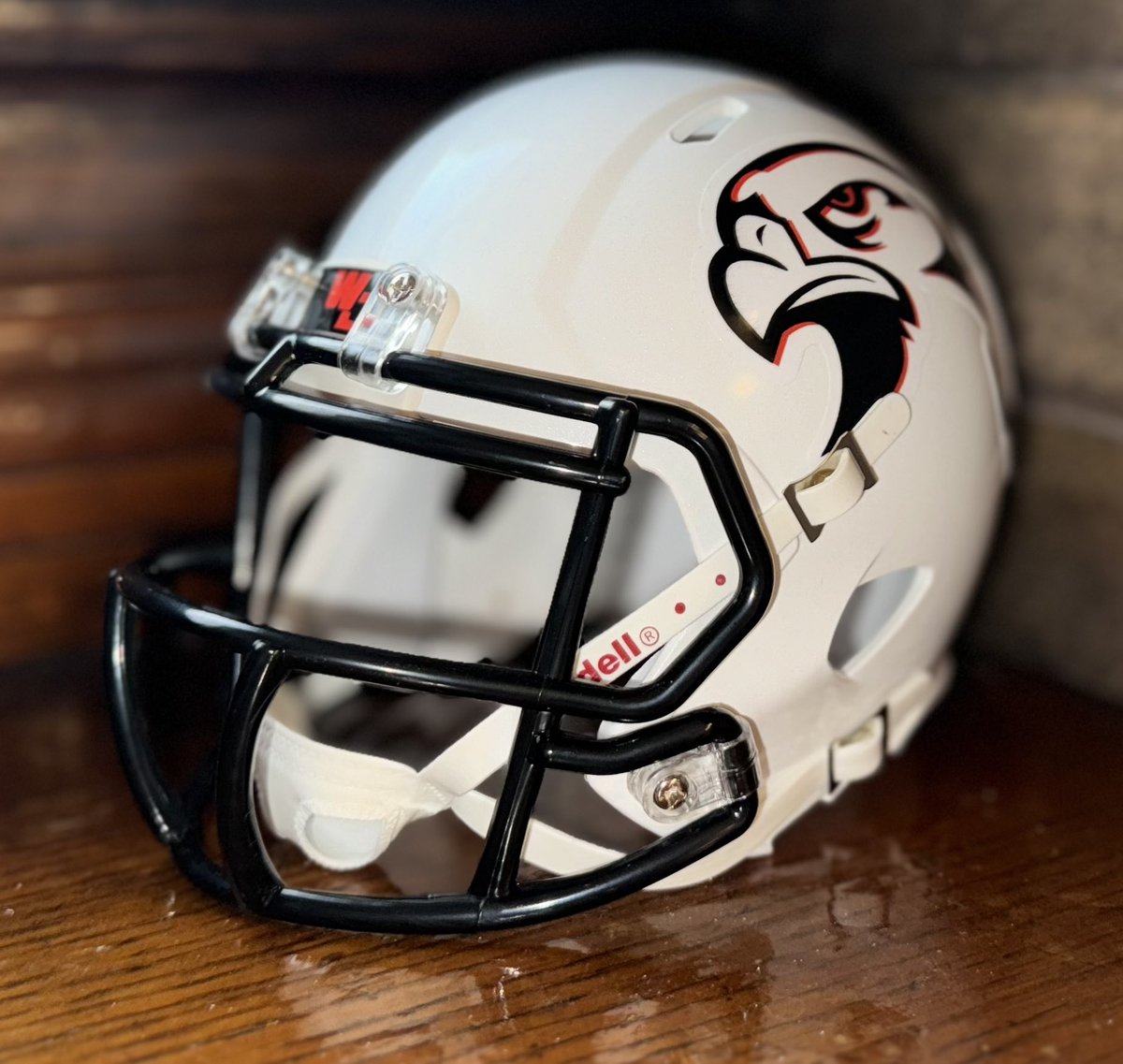 Matthewson’s Mini Helmets tweet media