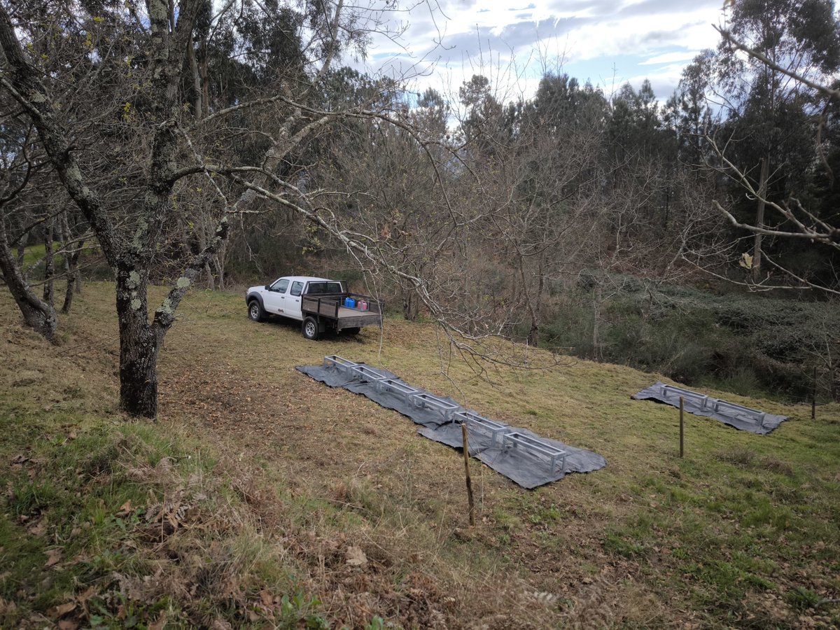 Setting up new apiaries!

#beeguardians 🐝🛡️