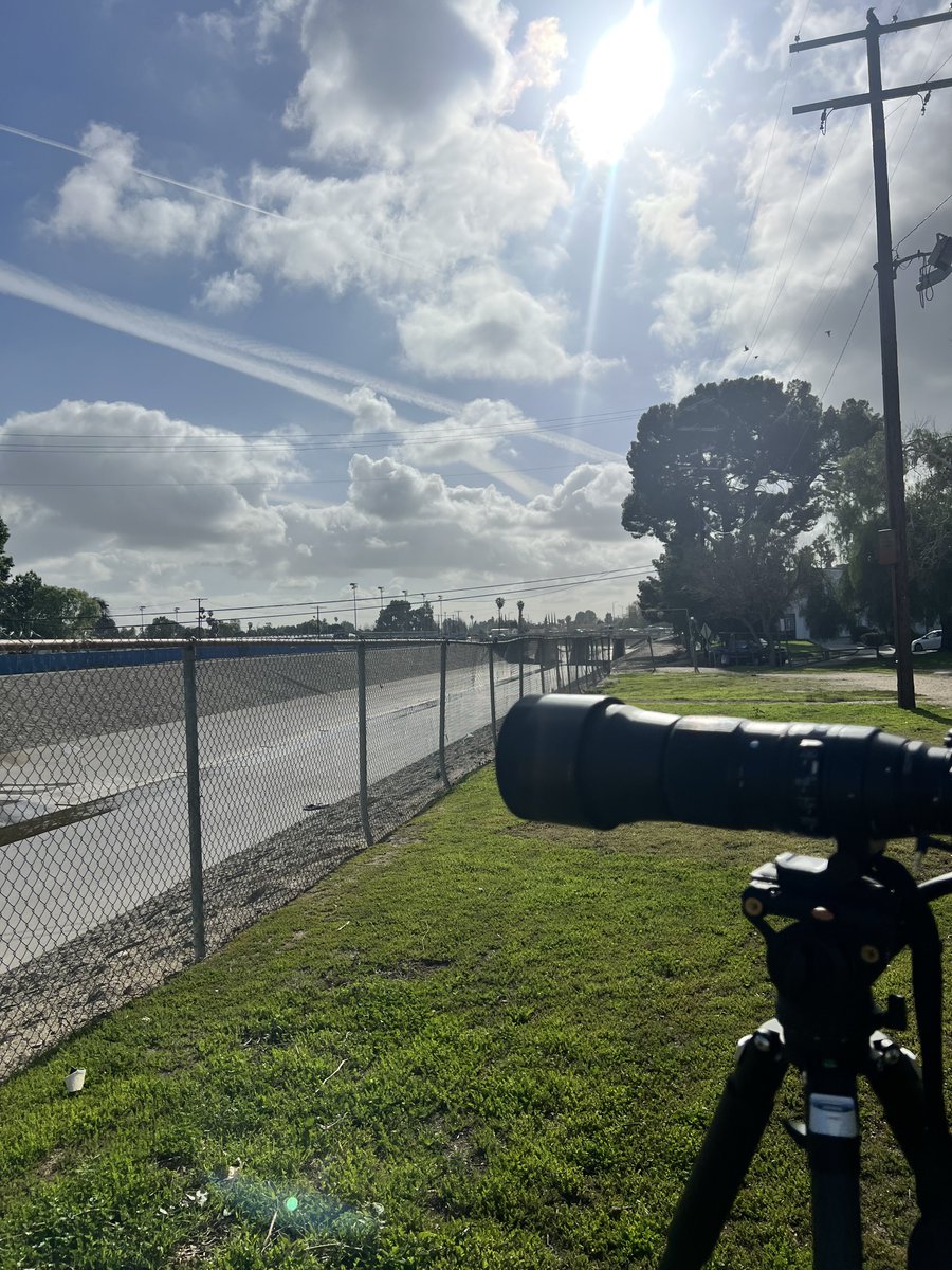 Day 4 filming Corvids vs Rodents: Ravens and Crows vs Squirrels competing to survive local parks