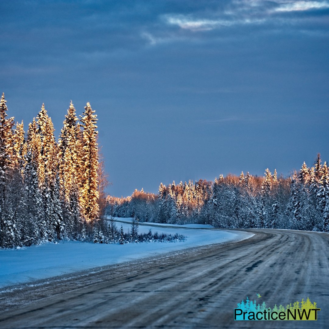 🌅 The North wakes up in all its glory. Early morning touches the tops of the trees along one of NWT's scenic highways, inviting you to experience the beauty of the boreal forest.
