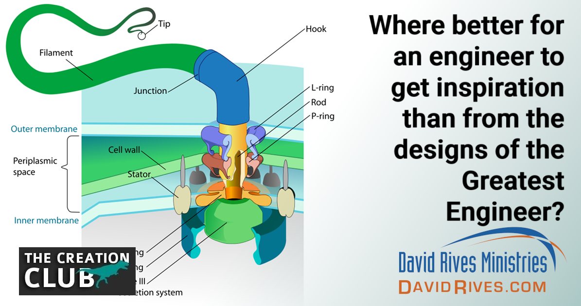 Where better for an engineer to get inspiration than from the design of the greatest engineer?

thecreationclub.com/discovering-mo…