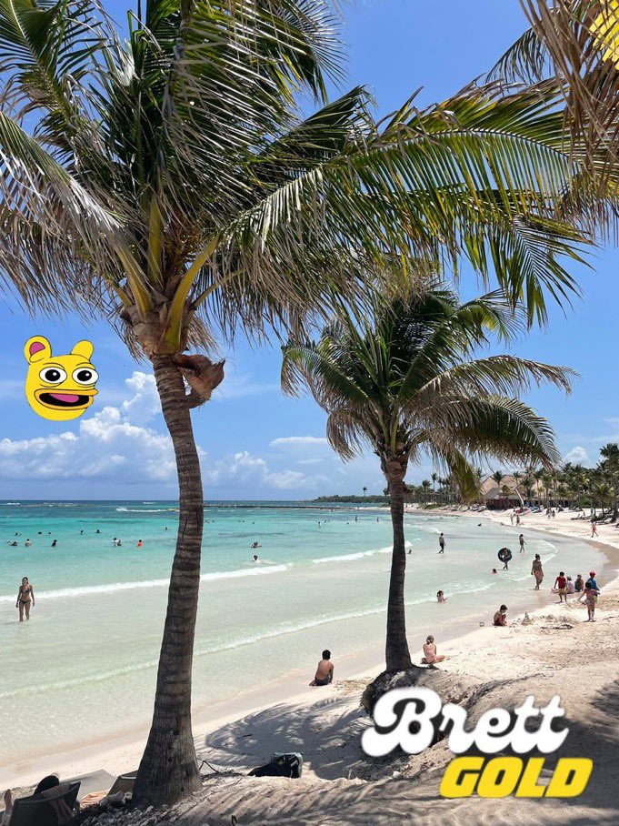 DanYellsNFTs_'s tweet photo. Taco Tuesday
After you grab some Tacos 🌮🌮to put your hands on some
#BRETTGOLD
X acct:
@BrettGoldxyz
CA:
F6ExBzKdLRcJkCAknQgfbhRXX78EhqoNxPnegJWPpump
📈 : https://t.co/CLQVQcQF0s…
https://t.co/tWfCfQTjBd
#DYOR
Economic arms: @BrettGoldRaw
#BRETTGOLDJava
@kokid951
WhyNotUs