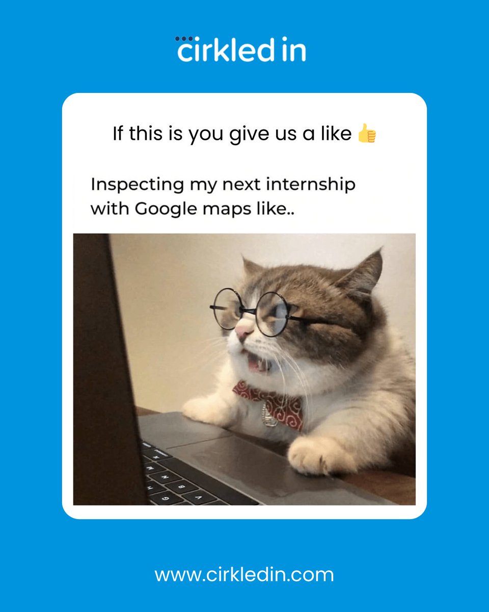 cirkledin's tweet image. Internship hunting? 🔎 Even the smartest cat uses Google Maps! 🗺️😂 Like if you&apos;re doing the same! 👍 

#InternshipSearch #GoogleMaps #FunnyCat #CareerGoals #CirkledIn