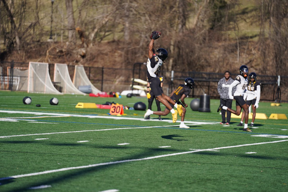 rajmadeitout's tweet image. Spring ball!