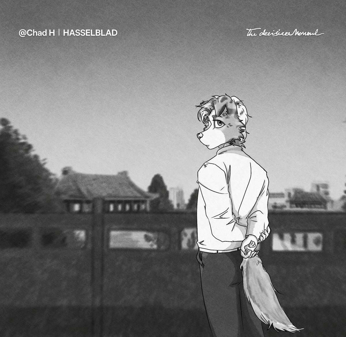 #furry What am I thinking?