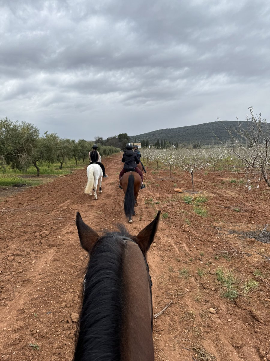 Out of office 🐴🇪🇸🫒