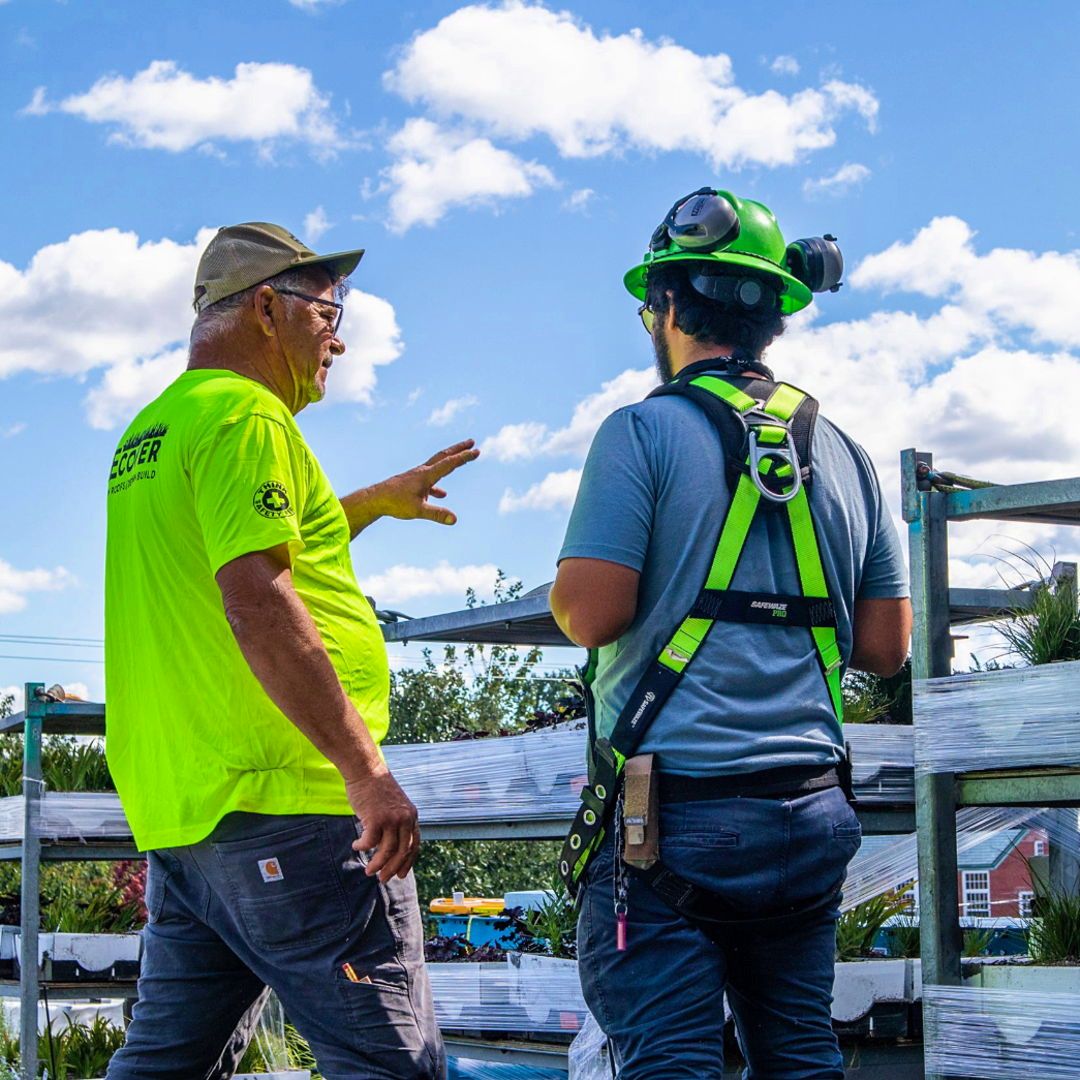Recover Green Roofs tweet media