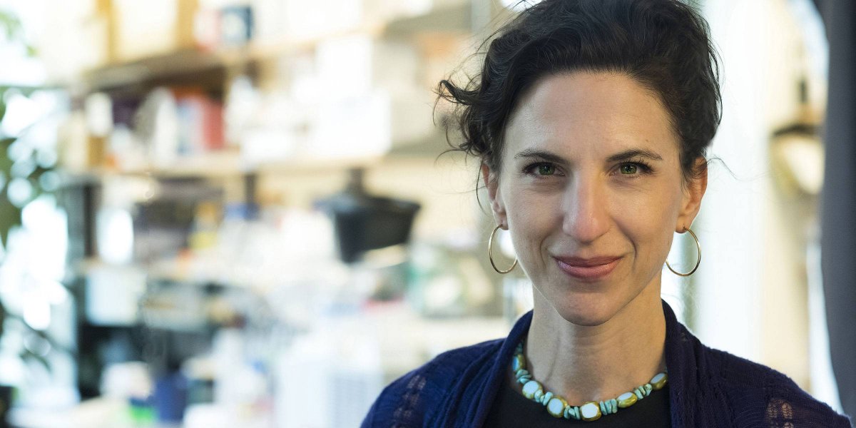 WCMResearch's tweet image. Research community! There is still time to register for the 2025 Cyma Rubin Women in Science Lecture feat keynote speaker Dr. Vanessa Ruta, HHMI investigator & Gabrielle H. Reem and Herbert J. Kayden Professor on Thursday, March 13, 2025. tinyurl.com/3cmppxuz