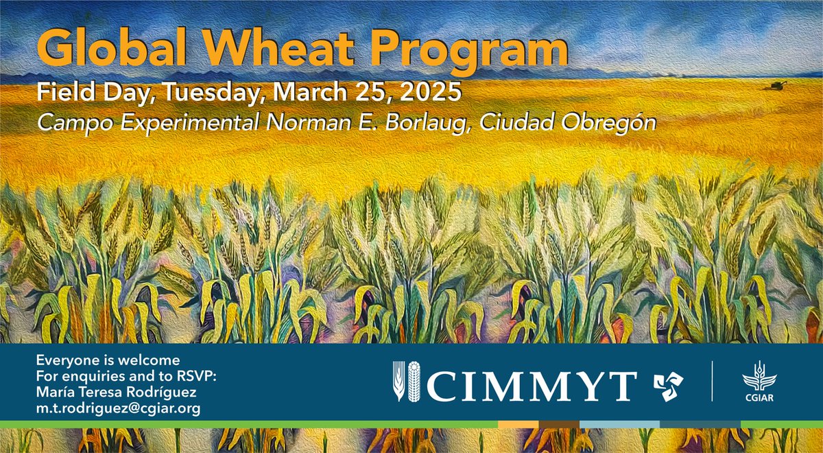 Don't miss the <a href="/CIMMYT/">CIMMYT</a> Global Wheat Program Field Day!

This annual event brings together scientists, partners, funders, &amp; farmers to showcase advancements in wheat research &amp; innovation.

Join us in Ciudad Obregón to explore cutting-edge advancements! bit.ly/3CwRTaE