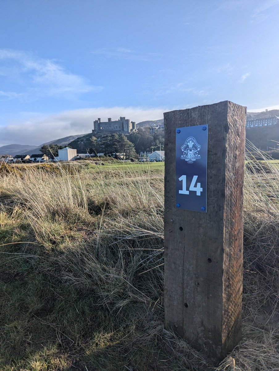 Rhys Butler tweet media