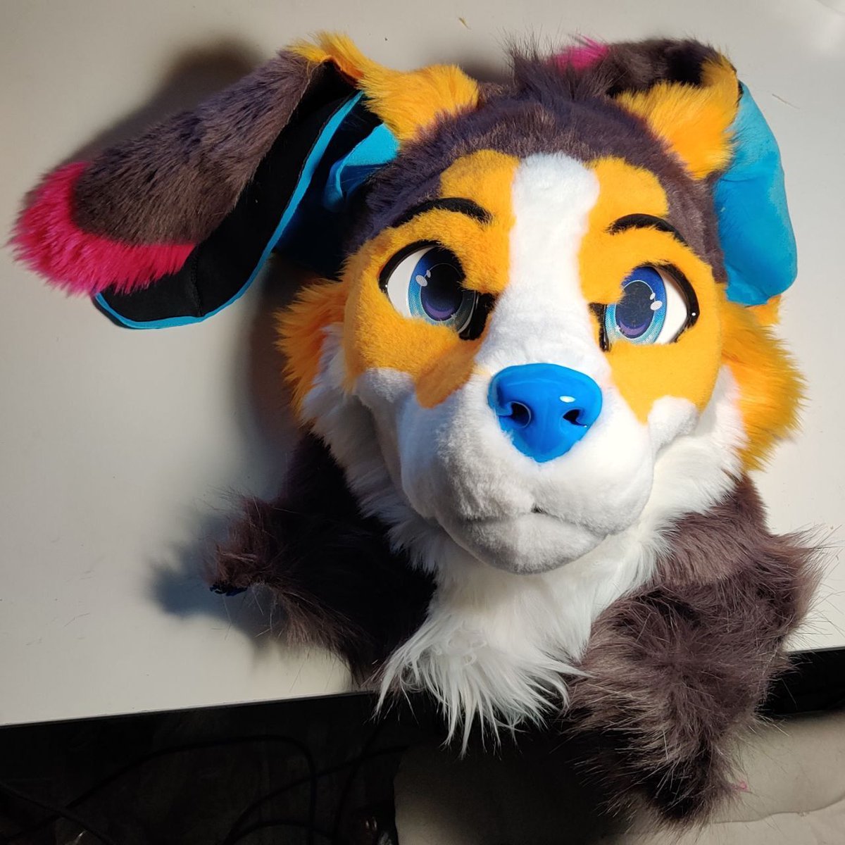 Mid process of furring, can really see how he's gonna look now :D 
#Furry #Fursuitmaker #FursuitWIP