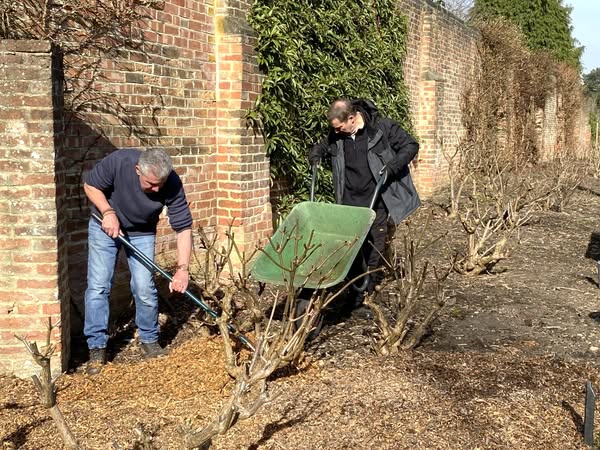 Hydrangea Derby tweet media