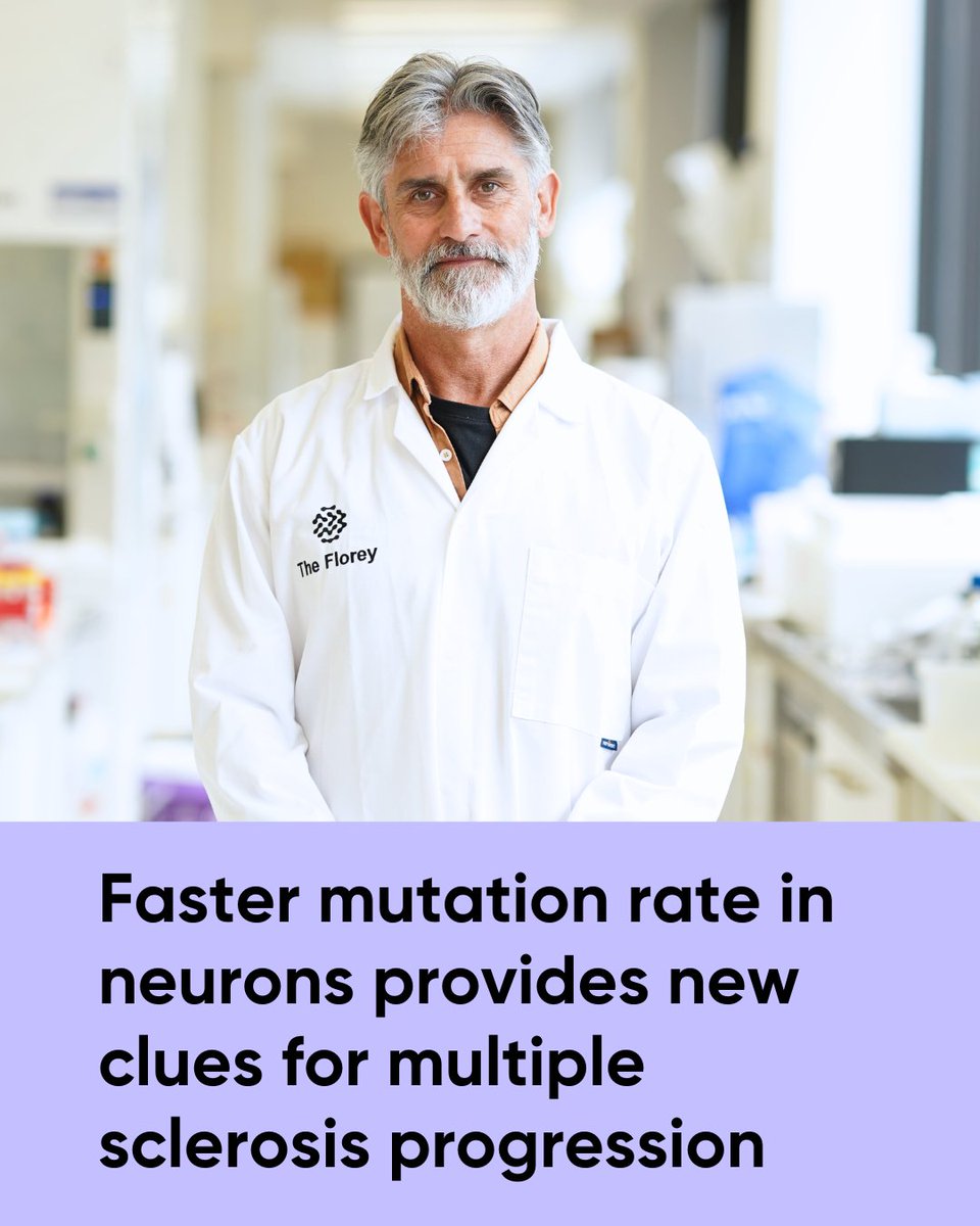 The Florey (@theflorey) on Twitter photo Florey research published today in <a href="/NatureNeuro/">Nature Neuroscience</a> led by A/Prof Justin Rubio found that neurons located in MS brain lesions have a 2.5x faster mutation rate than normal neurons – providing clues for new treatment avenues for progressive MS.
Read here: florey.edu.au/news/2025/03/f… Florey research published today in <a href="/NatureNeuro/">Nature Neuroscience</a> led by A/Prof Justin Rubio found that neurons located in MS brain lesions have a 2.5x faster mutation rate than normal neurons – providing clues for new treatment avenues for progressive MS.
Read here: florey.edu.au/news/2025/03/f…