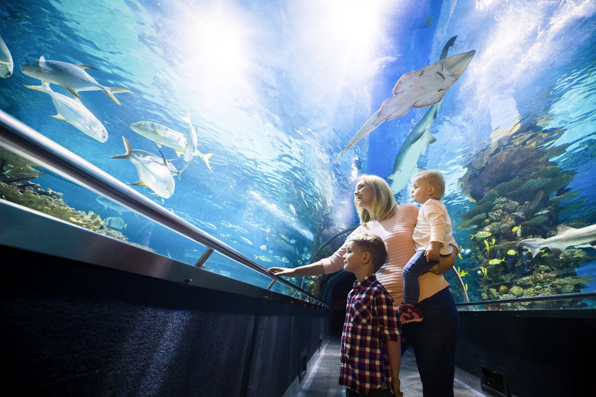 Spring break is almost here! Check out our list of kid-friendly destinations packed with fun attractions the whole family will love. Full list: bit.ly/4ipscb9