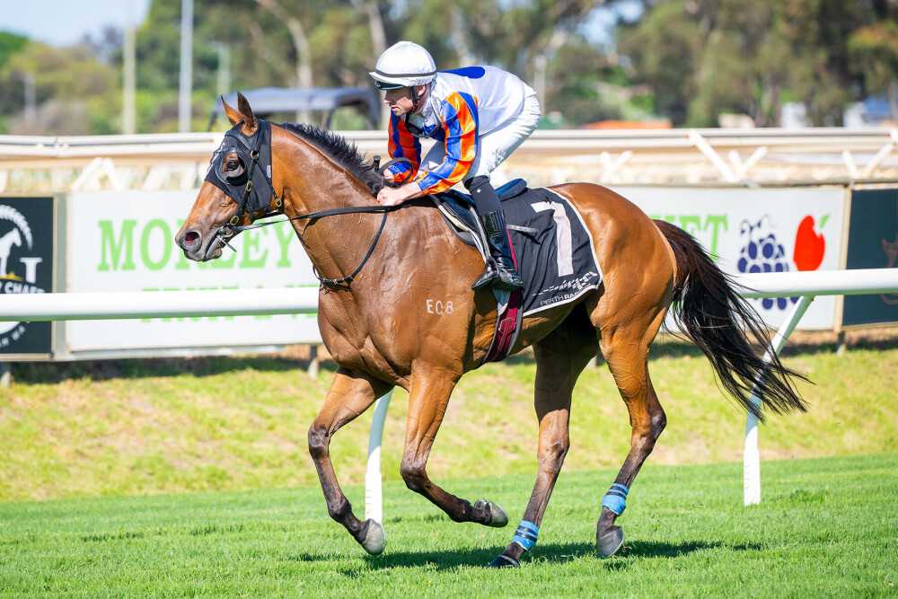 TABradio (@tabradio) on Twitter photo AZTEC RULER | 🏇
Stef <a href="/Vahala_Racing/">Vahala Racing Stables</a> confirms his star galloper will line up in the Shaftesbury Avenue Handicap on Saturday at <a href="/FlemingtonVRC/">Victoria Racing Club</a>.
"His gallop yesterday was really good, I'm happy with him. He'll head to the paddock after Saturday."
🎧 Tune into TABradio on the AZTEC RULER | 🏇
Stef <a href="/Vahala_Racing/">Vahala Racing Stables</a> confirms his star galloper will line up in the Shaftesbury Avenue Handicap on Saturday at <a href="/FlemingtonVRC/">Victoria Racing Club</a>.
"His gallop yesterday was really good, I'm happy with him. He'll head to the paddock after Saturday."
🎧 Tune into TABradio on the