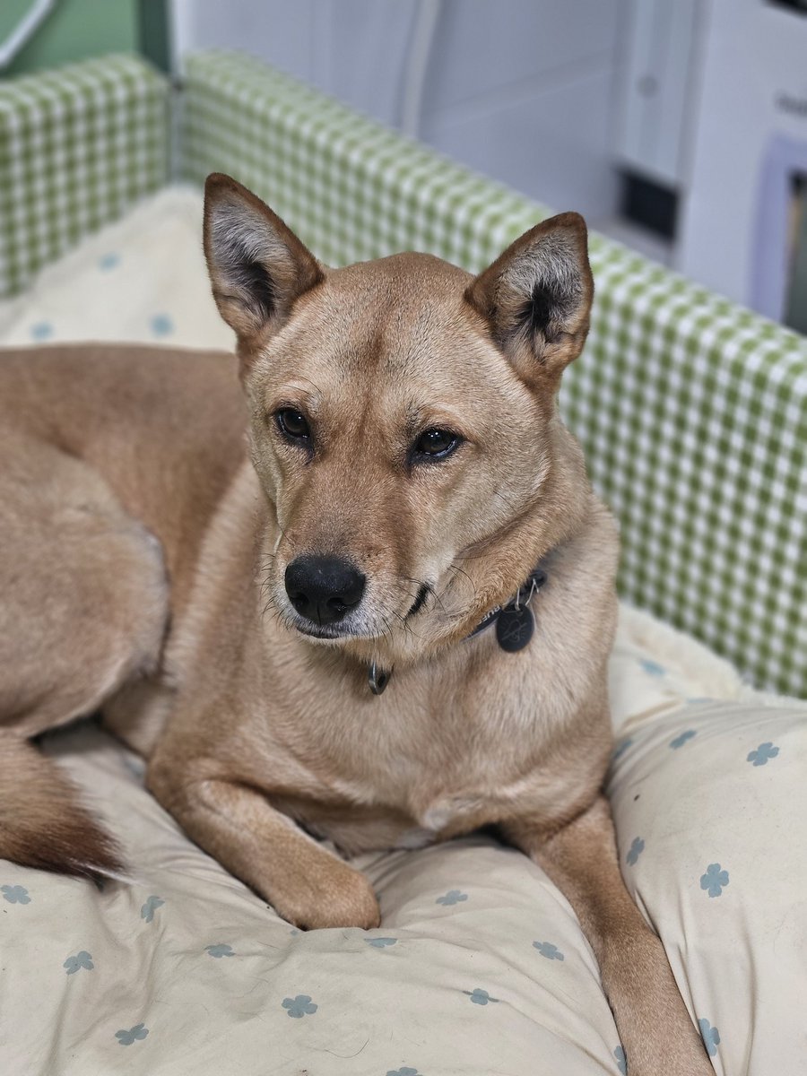 가나디 : 학과 언니들의 마음을 훔침