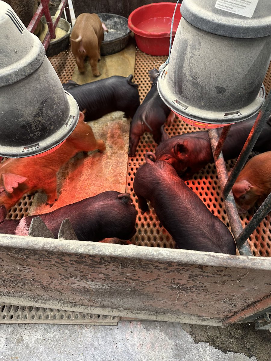 All of this in one place! 
LISD Tech Center Tours for the 8th graders. So many great opportunities for students!