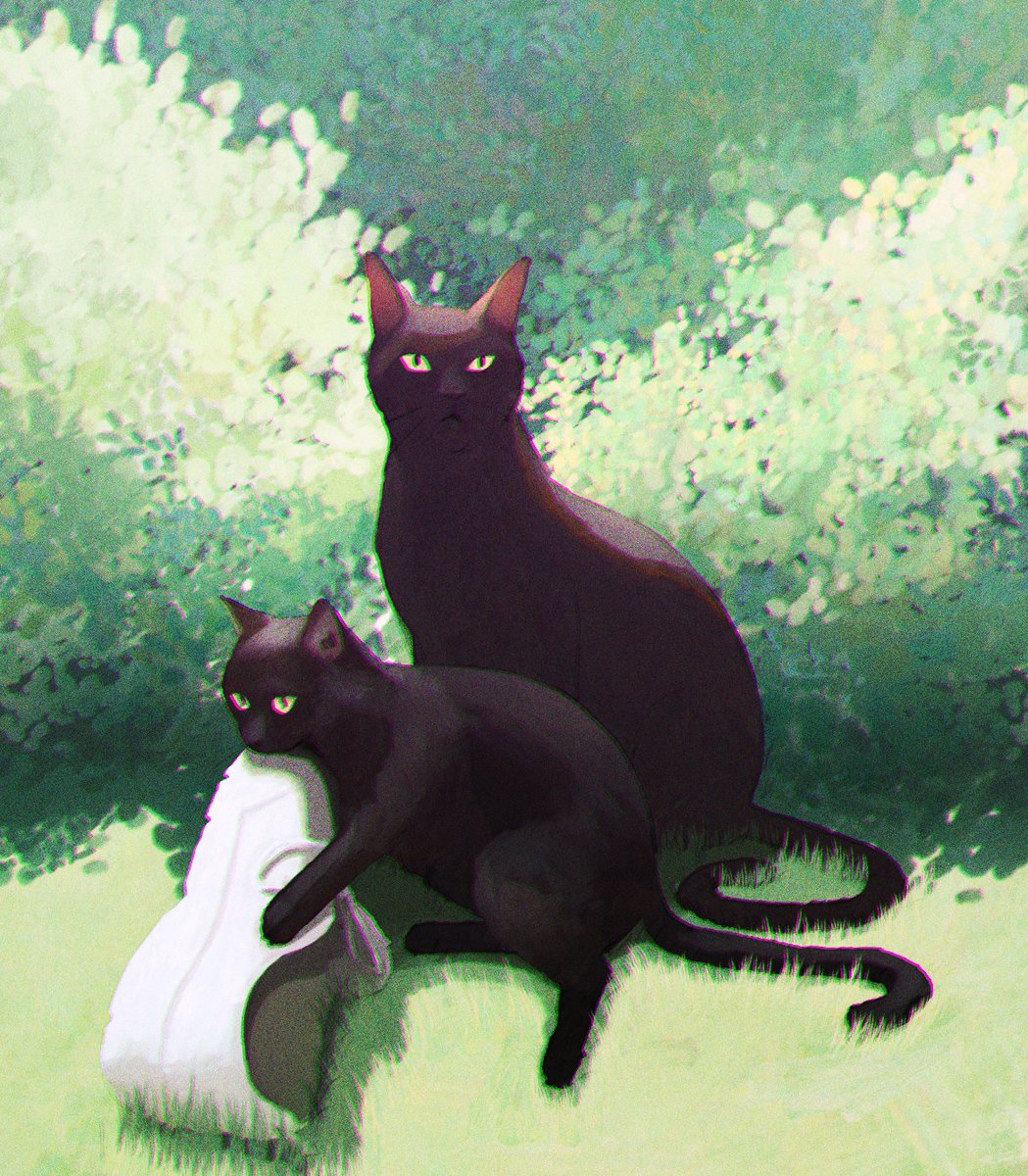 Jin 🌙🥮 LOOKING FOR WORK tweet media