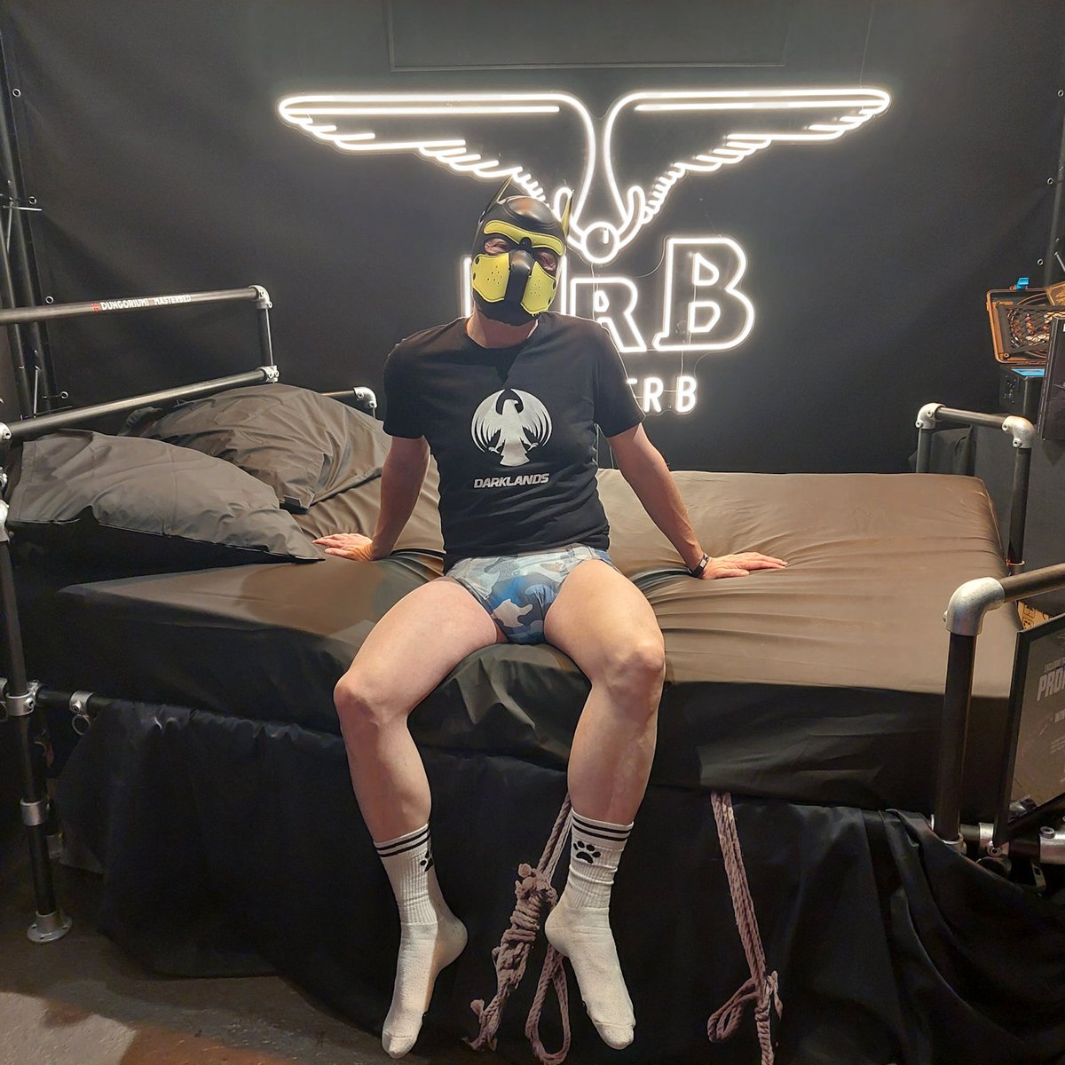 dboycph's tweet image. #Darklands #MrB #DiaperPuppy