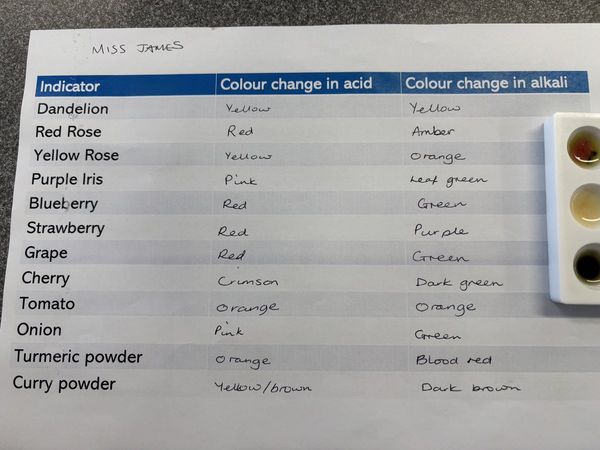 Making our own indicators to test for acid and alkalis in Science club this week. We used flowers and different types of foods and extracted their dyes to see how they changed colour. Developed excellent scientific skills tonight! <a href="/FFaxPrincipal/">Sean Castle</a>