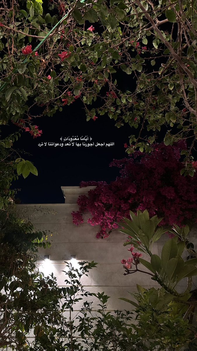 #رمضان_كريم