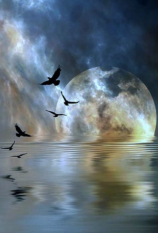 #Nite Twitter World 🌛