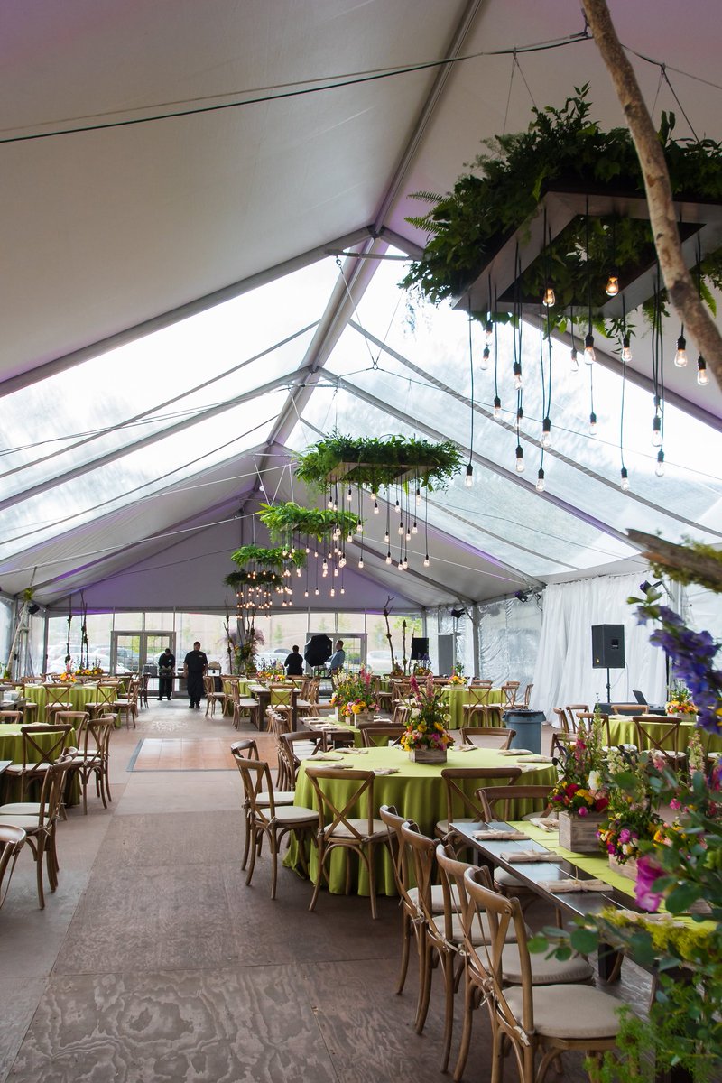 AllOutEvent's tweet image. Spring just entered the chat🥰🌷🌿🪻🌱
.
.
.
#eventplanner #eventideas #eventinspo #spring #floral #nature #wedding #utah #eventrentals #decor #springvibes #springevent