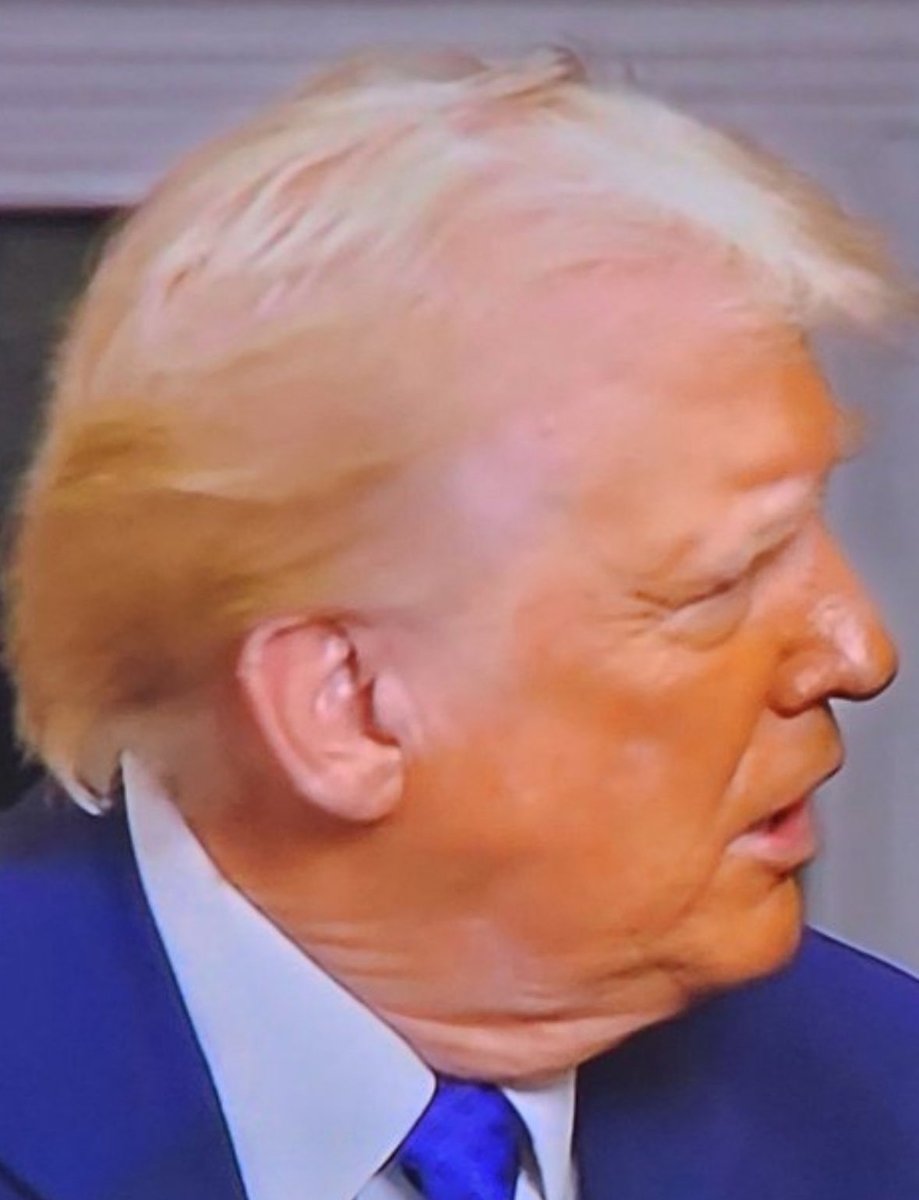 AnnieForTruth's tweet photo. I will not be watching the ‘DISGRACE of The Union Address’ tonight, how about you? I’ve see and heard enough from this orange pasted, Oompa Loompa, Putin’s Puppet and TRAITOR to our country. https://t.co/3rgf5gX25D