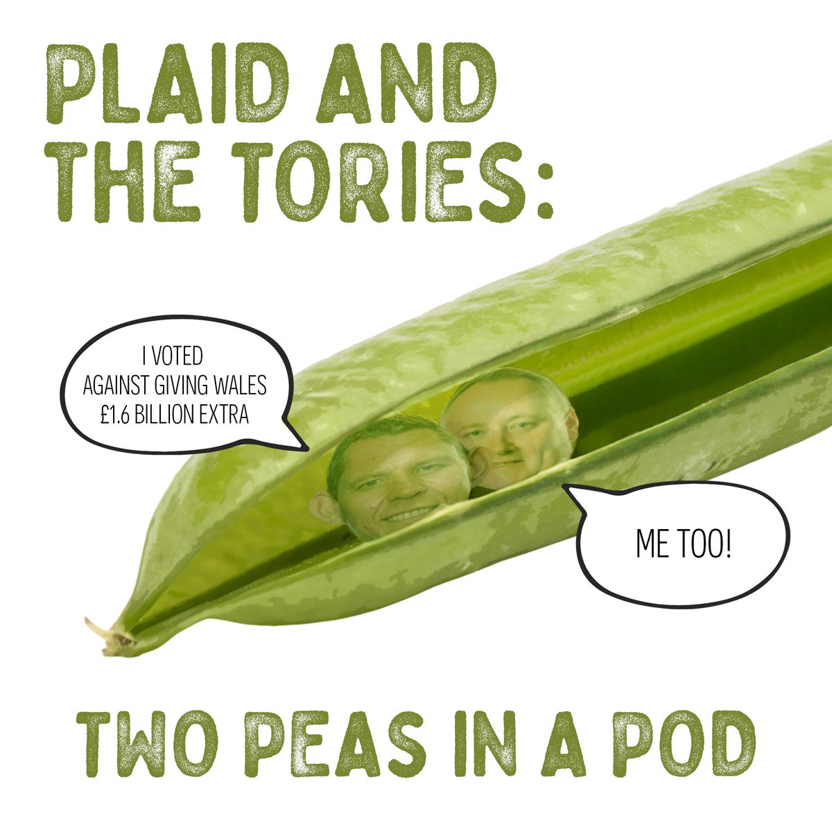 Plaid and the Tories are two peas in a pod.