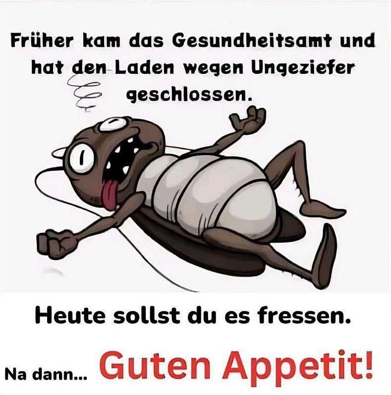 Franziska_hl tweet picture