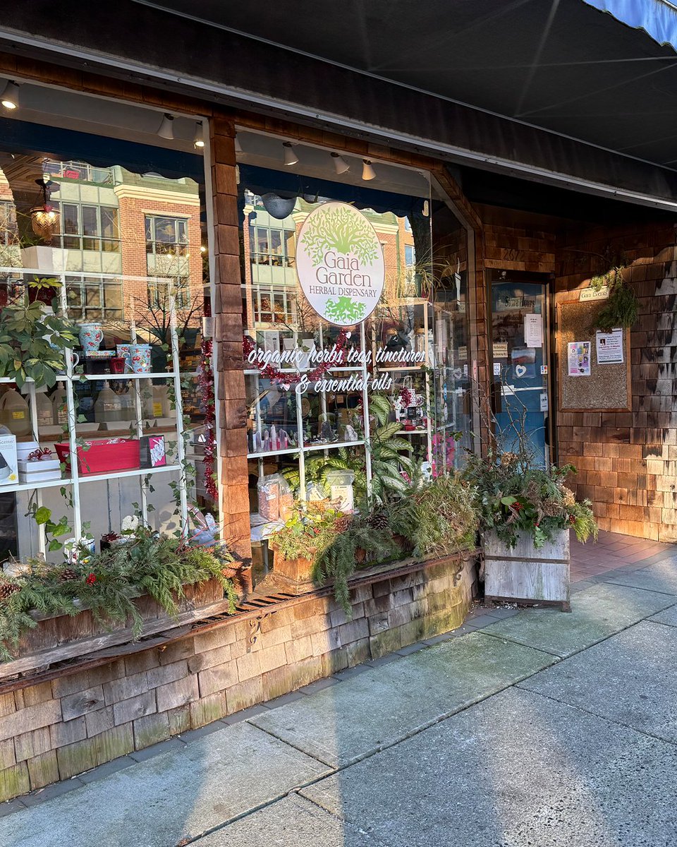 🎉 Gaia Garden Anniversary Celebration Begins! 🌿✨
📩 Check our newsletter for the latest offers and savings! 💌 mailchi.mp/gaiagarden.com…