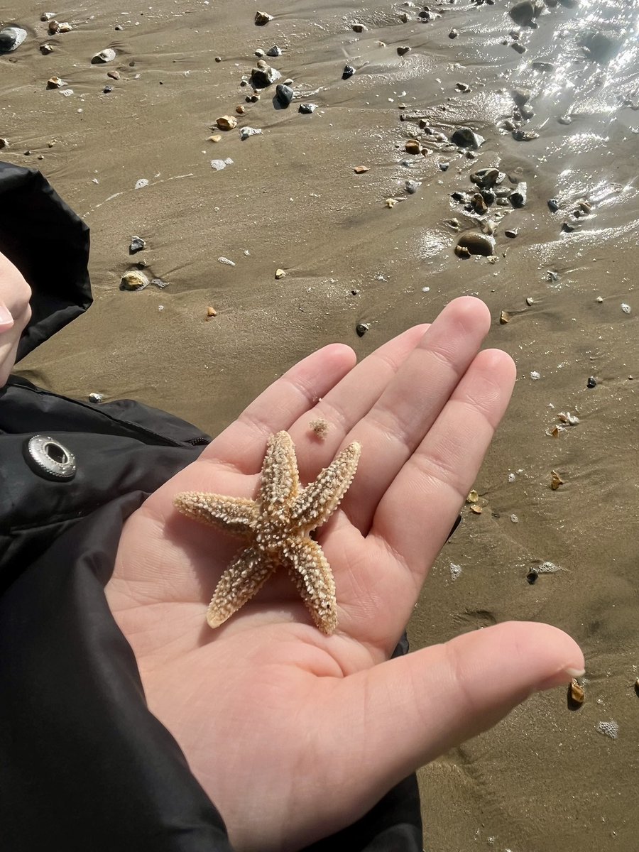 RodwellSam's tweet image. Awe and wonder at Beach School today! #beachschool #outdoorlearning #wildbeach #outdooreducation