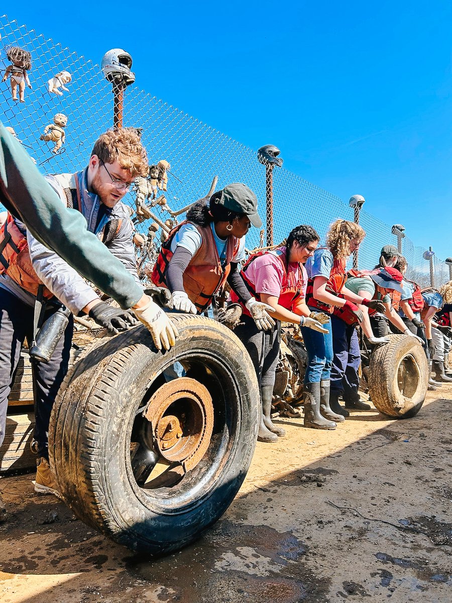 LLandW's tweet image. Ain’t nothin’ but a cleanup thang, baby!

The day-one totals have been calculated! Thanks to 38 volunteers from 5 colleges/universities, we cleaned up 15,028 pounds from McKellar Lake in Memphis, TN!

#livinglandsandwaters #rivercleanup #alternativespringbreak #memphis