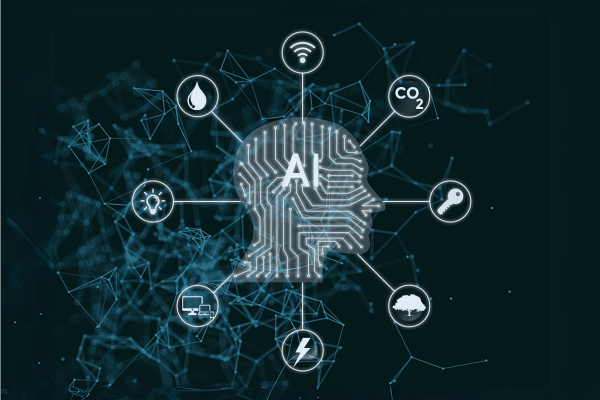 Catorce 6 tweet media