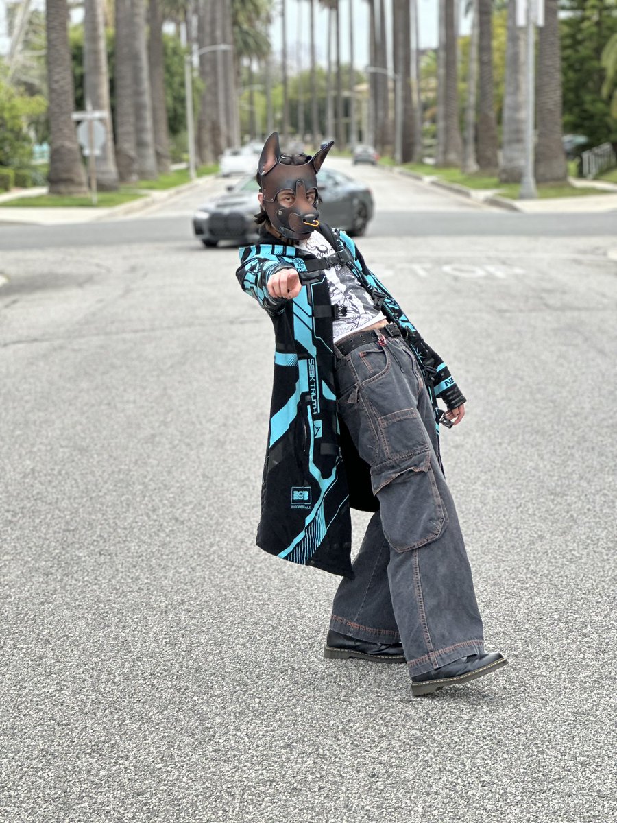 uppypuppyuppies's tweet image. standing in the street and getting hit by cars is the LA way 🫶🏼