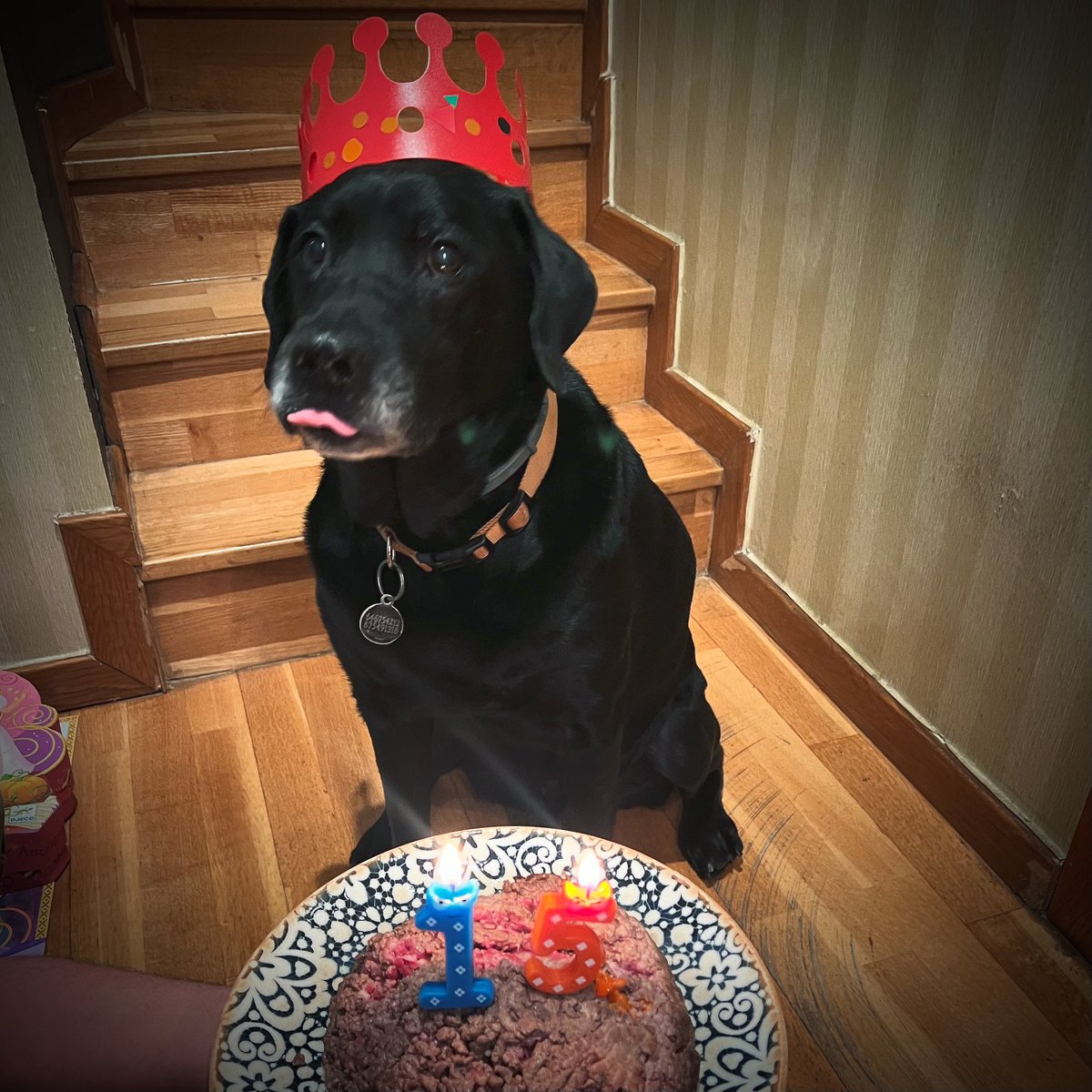 Happy Birthday Mr. Tizón 🎂🎉🥳 !!!

Il capo cumple 15 años!! La Clote sense el tizón, sería menys Clote ❤️❤️❤️

Si te lo encuentras esta semana, felicítalo con bacon 🥓 🥓 

Qué darlings, fem una clote tonight? 🤘🔝🤘