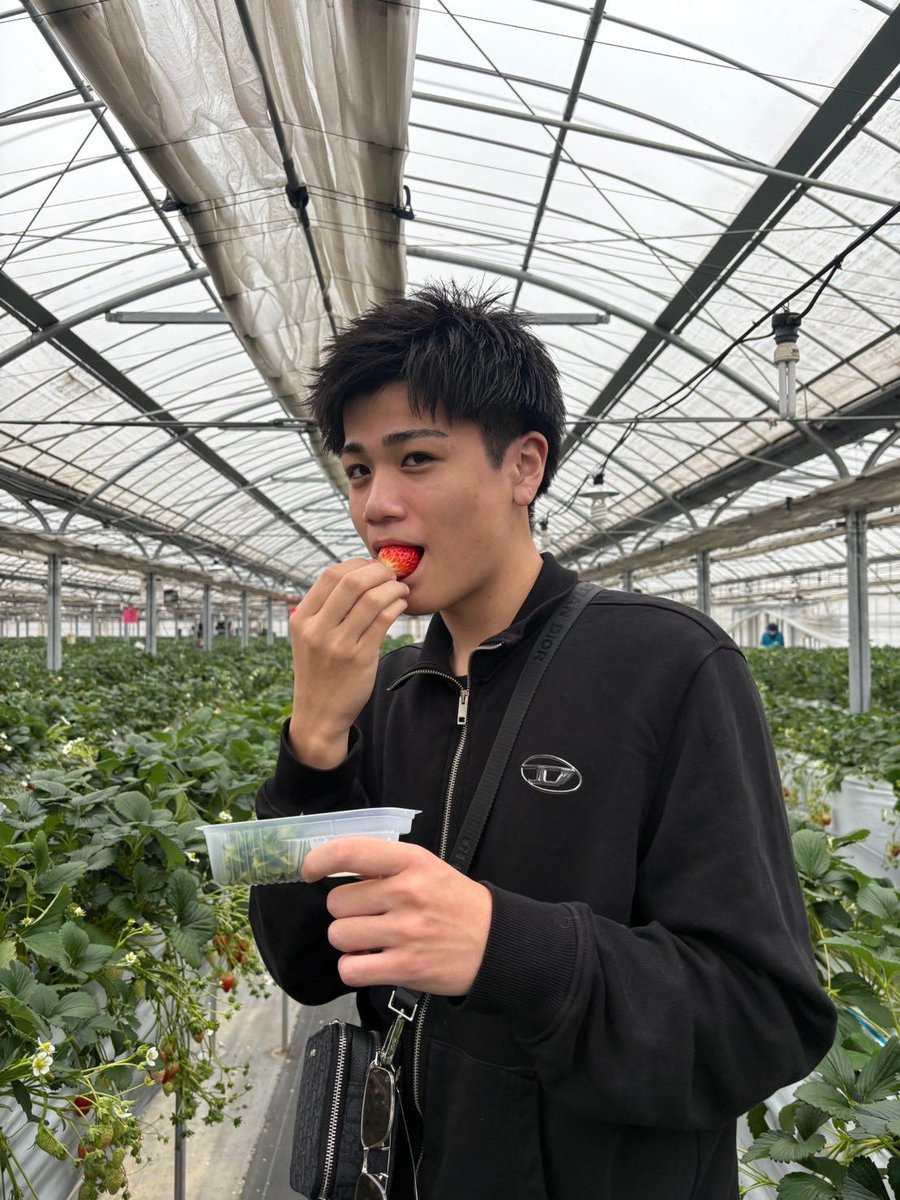 chance_yamato's tweet photo. 大学の子と🍓狩りに行きました！フルーツ大好きだから幸せでした🥰
新大久保、東京の予約もたくさん頂いていて感謝感謝です🥰🥰　次行けるのがゴールデンウィークか夏休みなのでたくさん可愛がりに来て欲しいです💖💖　あ、黒髪お披露目会ですけど、どーですか！！リアルで見に来て褒めてくださいね！ https://t.co/jMch78WIfB