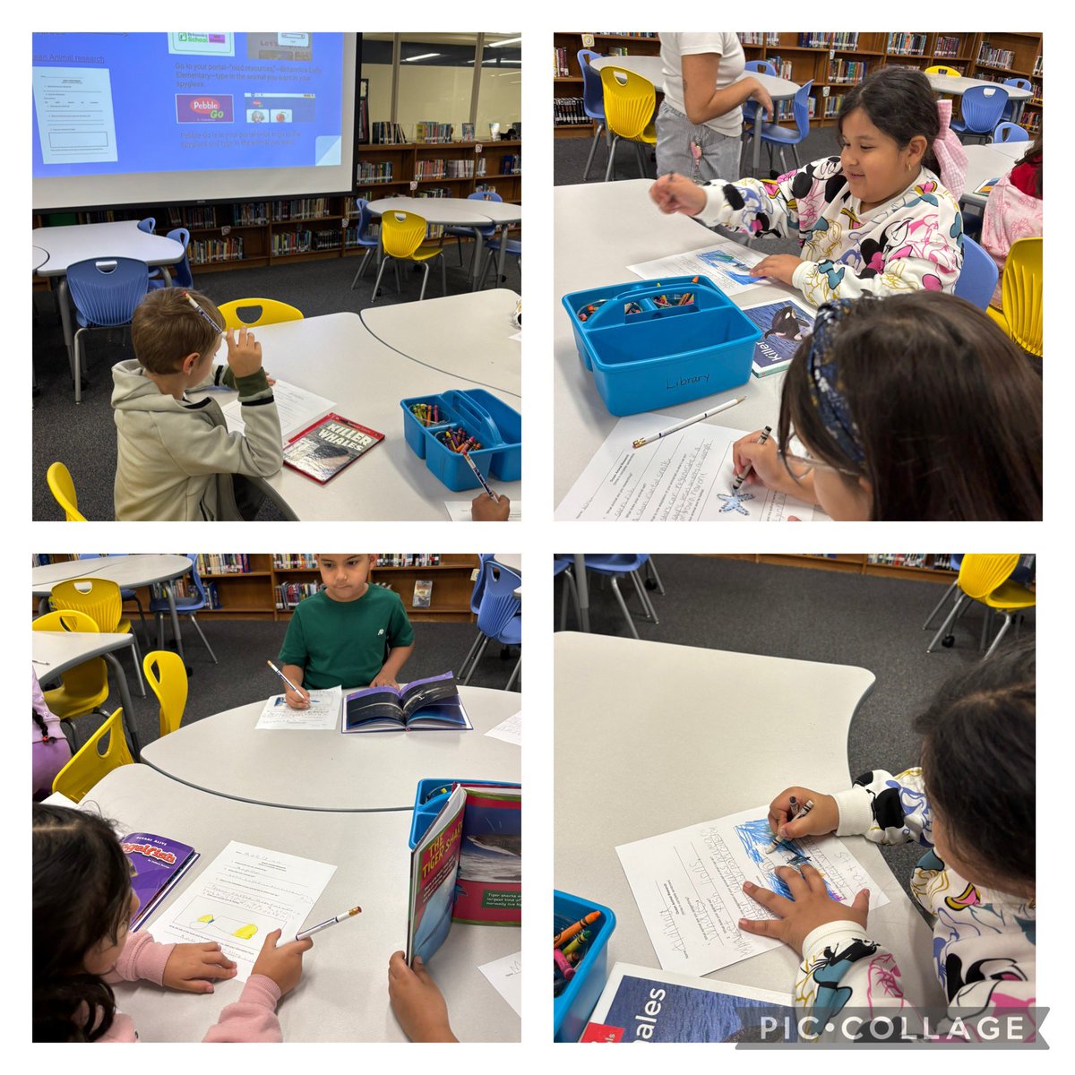 NISD MVE Library (@librarymve) on Twitter photo 1st grade research on Ocean Animals, adaptations, food and habitats were studied😃💚<a href="/LibraryMve/">NISD MVE Library</a> <a href="/NISDLib/">NISDLibraryServices</a> <a href="/NISDMeadowVill/">Meadow Village ES</a> 1st grade research on Ocean Animals, adaptations, food and habitats were studied😃💚<a href="/LibraryMve/">NISD MVE Library</a> <a href="/NISDLib/">NISDLibraryServices</a> <a href="/NISDMeadowVill/">Meadow Village ES</a>