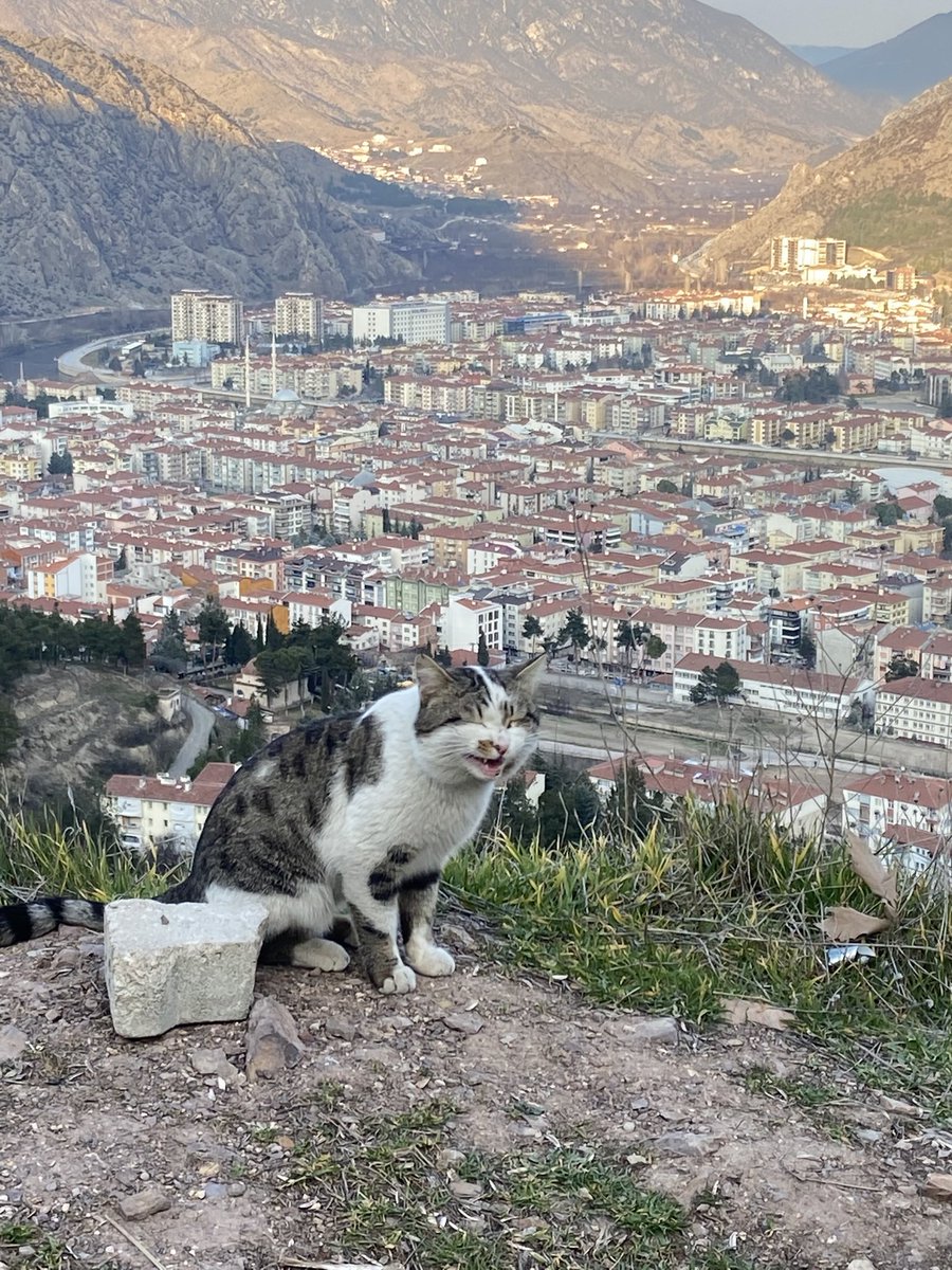 Amasya semalarında kedi bile dertli kaleye çıkmış bizimle kıvırcık ali dinliyodu.