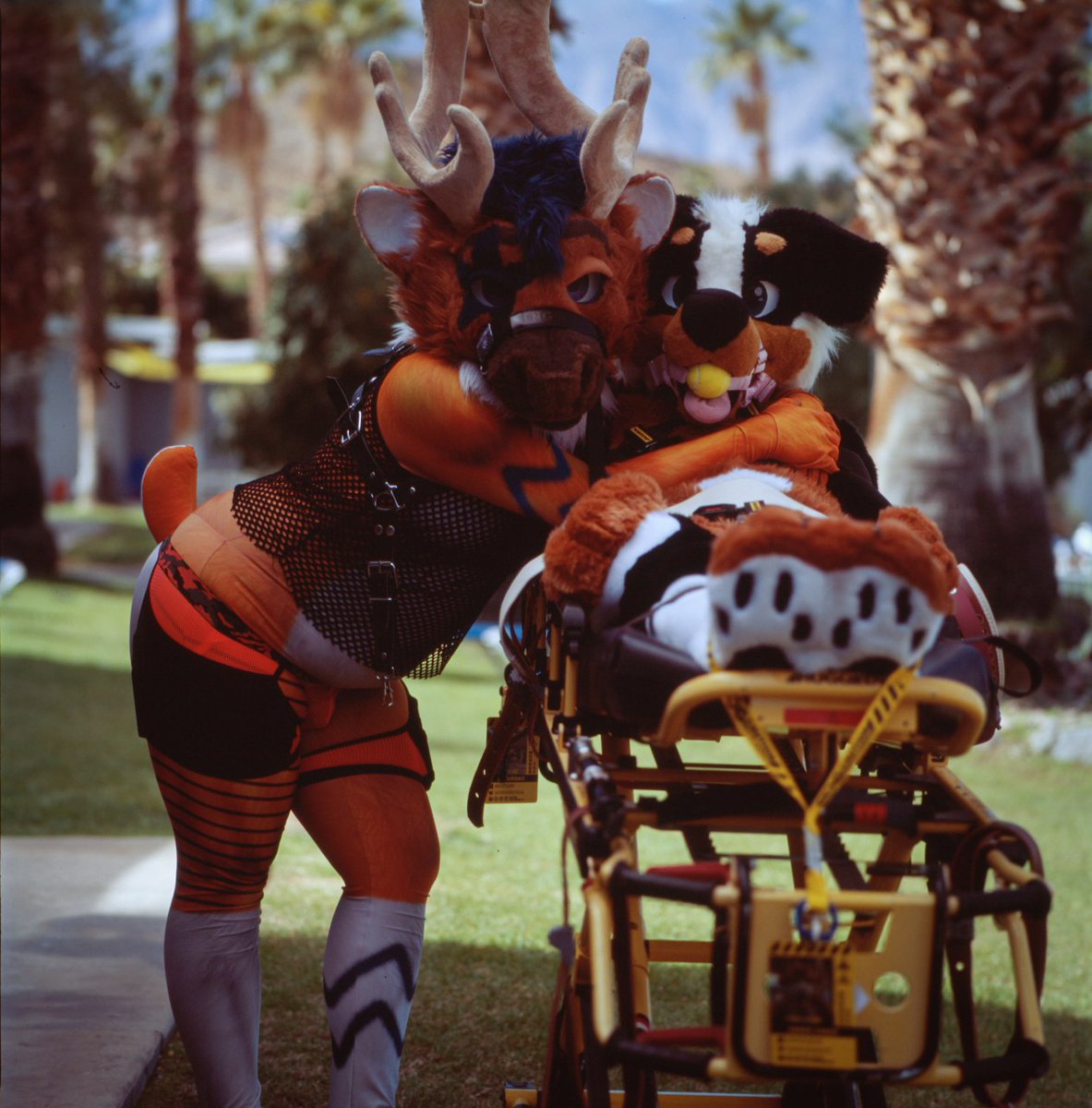 At least the orderly is handsome 🥺
<a href="/Bleatyouoff/">Lascivious Foxbreaker 🔜 FLOP LVFC</a>